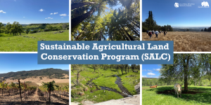 California Awards over $128M to Conserve Agricultural Lands across the State