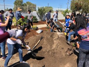 Council Approves Guidelines for TCC Program Round 6 & CRC Program Round 2