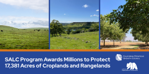 California Awards Over $45.5M to Conserve Thousands of Acres of Agricultural Lands Across 16 Counties
