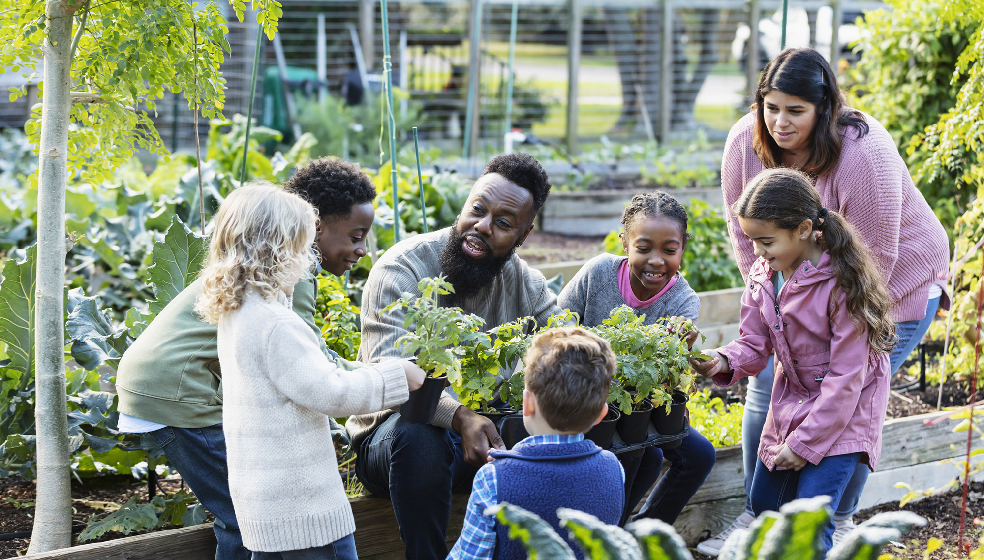 Man teaching children about plants in community garden